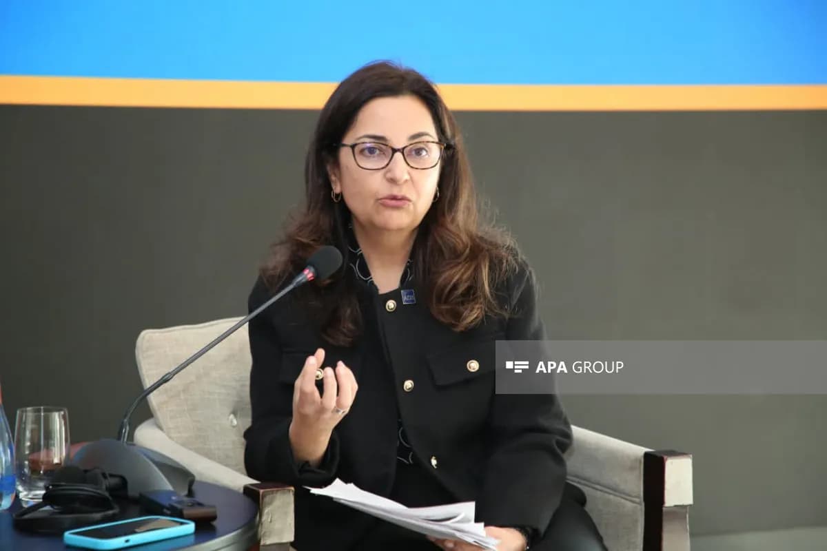 Asiya İnkişaf Bankı Azərbaycana böyük sərmayələr yatıracaq