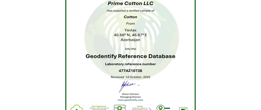 «Prime Cotton»dan yenilik: Pambığın mənşəyi artıq elmi üsulla təsdiqlənir