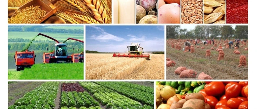 Azərbaycanda Aqrar Ticarət: İdxal İxracı Ötdü - Rəqəmlər Şokda!