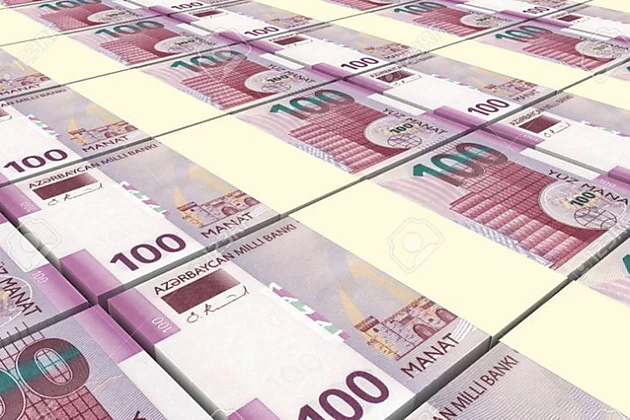 Manatın Sabitliyi Dollar Kreditlərini Xilas Etdi - Moody's Şok Faktları Açıqladı!