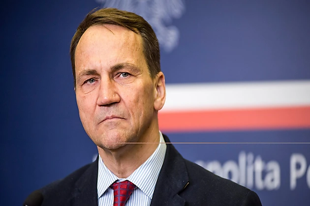 Sikorski: Dmitriyev və Mask Avropanı parçalamaq istəyir